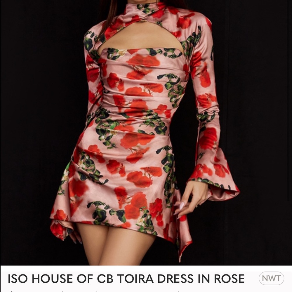 IN SEARCH OF HOUSE OF CB TOURS ROSE DRESS
